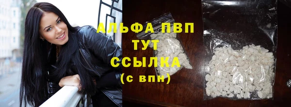 сатива Богородицк