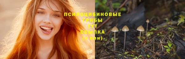 дурь Беломорск