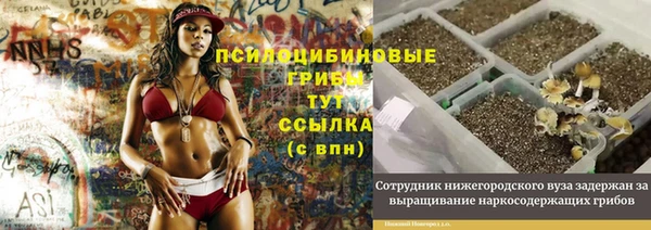 сатива Богородицк