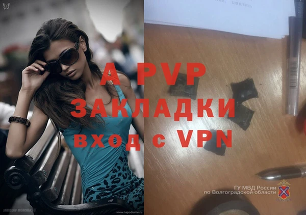 сатива Богородицк