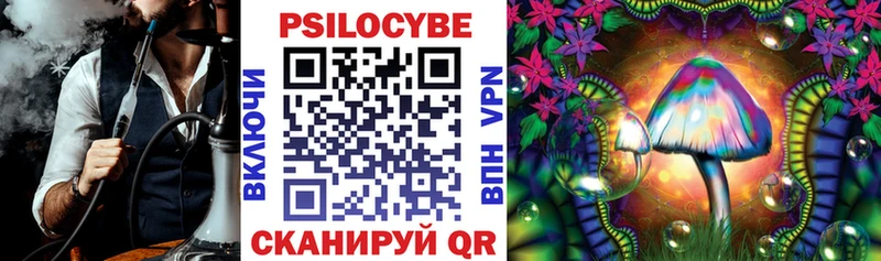 Псилоцибиновые грибы Psilocybe  Купить где  Могоча 