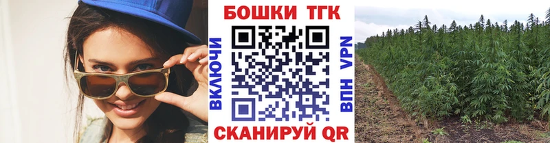 Купить закладки  Могоча  Бошки марихуана VHQ 